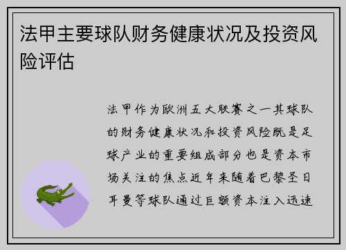 法甲主要球队财务健康状况及投资风险评估