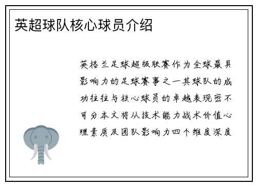 英超球队核心球员介绍